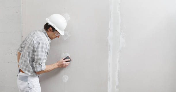 Mold Odor Removal Services in Highland, NY