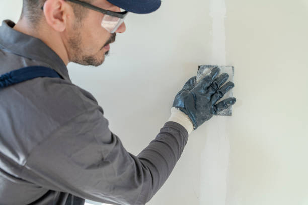 Best Dehumidification Services  in Highland, NY