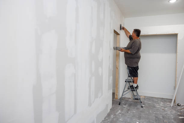 Best Basement Mold Removal  in Highland, NY