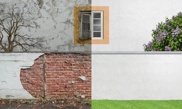 Best Environmental Consulting for Mold Prevention  in Highland, NY